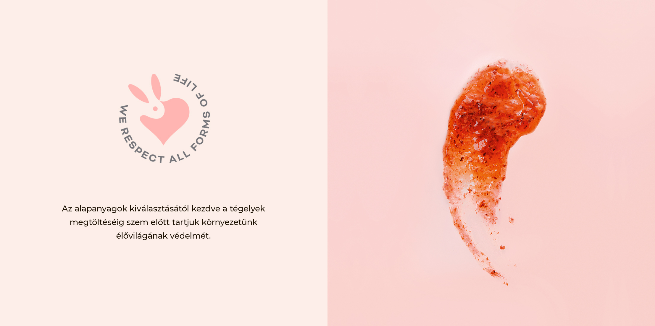 vegan-aloldal-kep-04