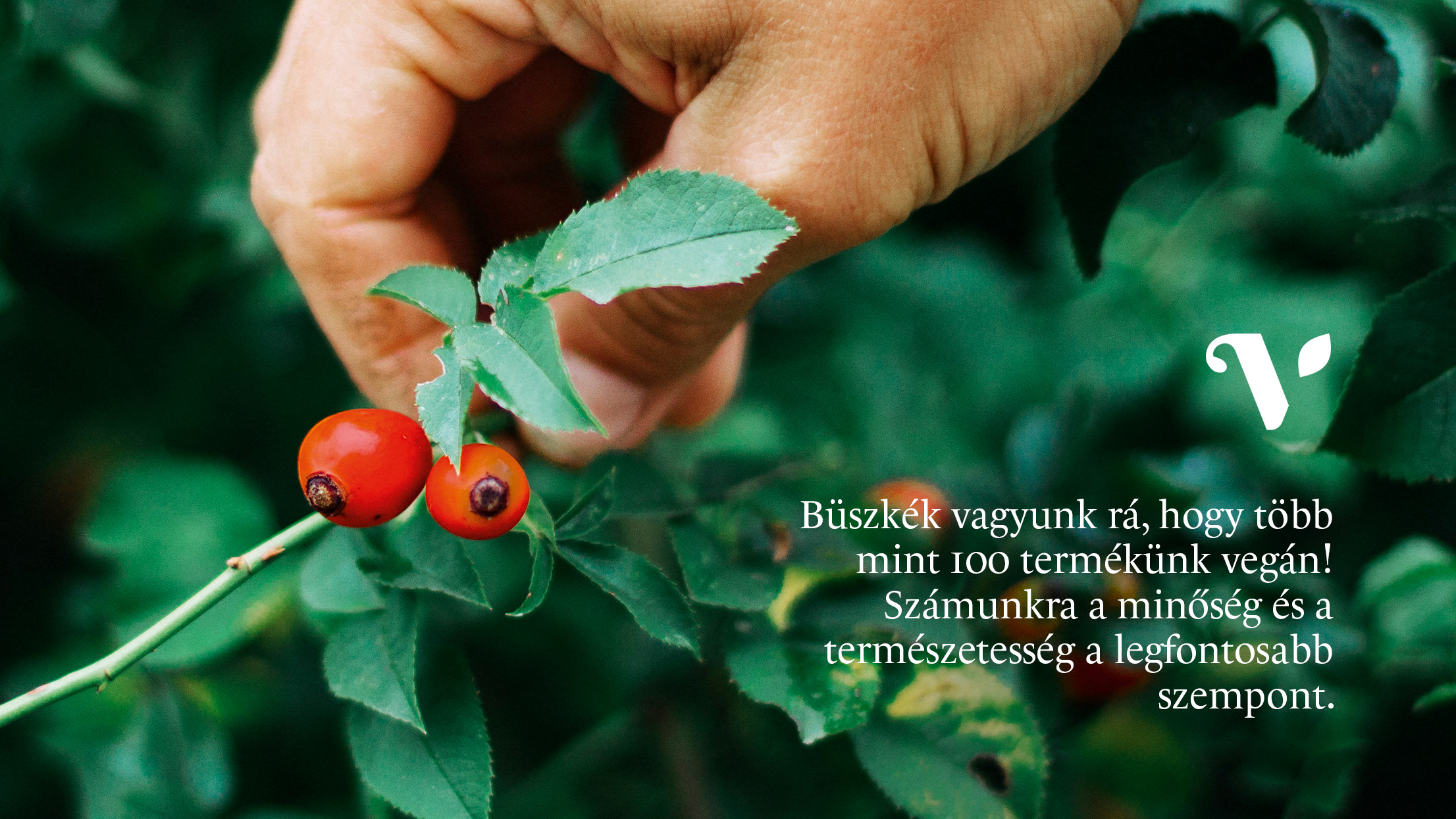 Vegán natúrkozmetikumok