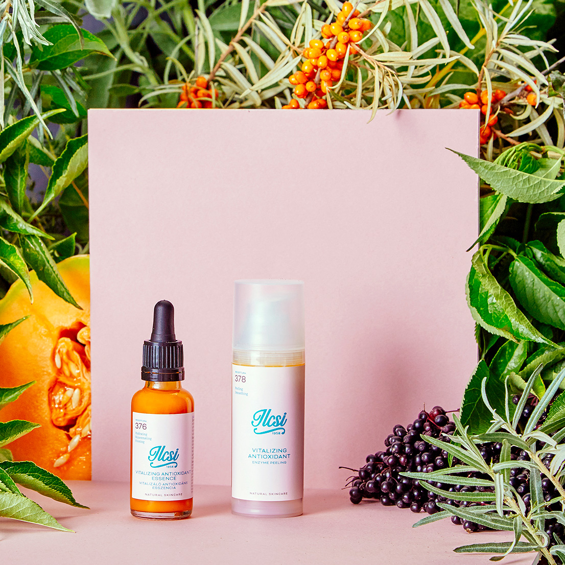 vitalizalo-antioxidans-aloldal-kep-01