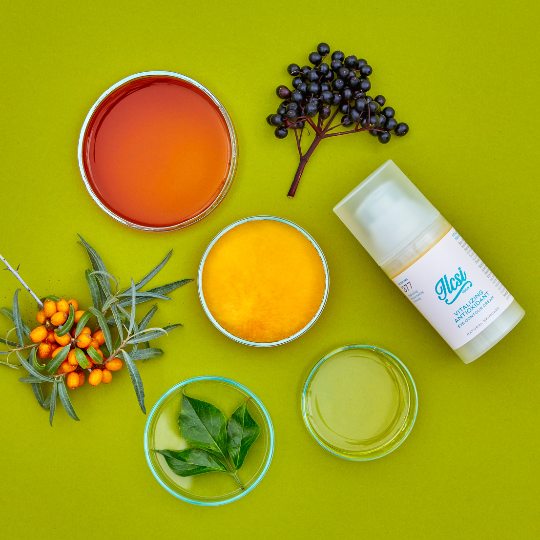 vitalizalo-antioxidans-aloldal-kep-02