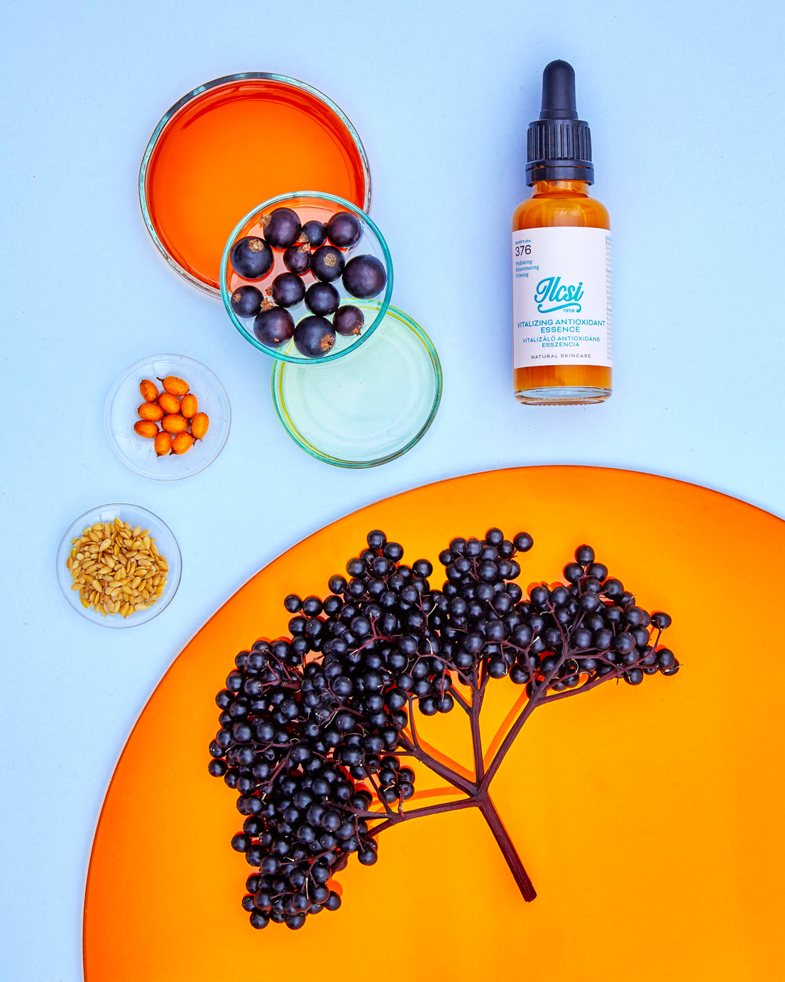 vitalizalo-antioxidans-aloldal-kep-06